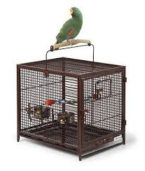 midwest avian adventures poquito avian hotel ruby kus kafesi kafes kus