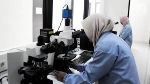 We did not find results for: Fungsi Mikroskop Bagian Dan Cara Merawatnya Agar Tetap Awet Citizen6 Liputan6 Com