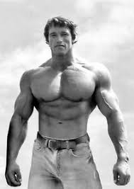 Arnold schwarzenegger, the austrian oak, was a bodybuilding prodigy who won the 1967 nabba amateur mr. Arnold Schwarzenegger Bodybuilding Photo Poster Wall Print Arnie Mr Universe 03 Ebay