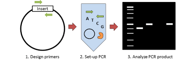 You can also email your photo to info@colonygrill.com and include where you would like the photo to displayed. Plasmids 101 Colony Pcr