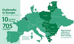 African swine fever is a virus that infects domestic pigs and wild boars. African Swine Fever Devising An Exit Strategy For Affected Countries