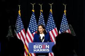It then goes in depth on many topics such as how to develop, debug, test, deal with errors, secure, scale, cluster, deploy. Amazon Halts Sales Of Shirts That Used A Derogatory Term To Refer To Kamala Harris The New York Times