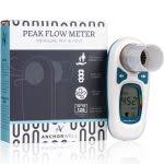 Asthma Peak Flow Meter Chart Template Readings Adults Check