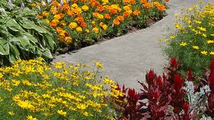 Deliver fresh flowers to loved ones in lawn, ftd® delivered by a local ftd® florist! How To Choose Edging Plants For Your Landscape