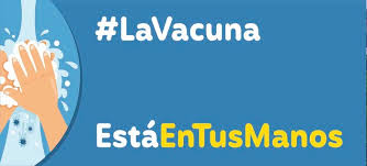Resultados de candidatos para alcaldía en cali (valle del cauca). Alcaldia De Cali Adopta Medidas Internas Temporales Y Excepcionales De Caracter Preventivo Contra Covid 19