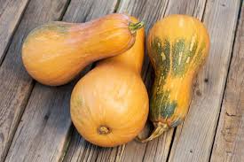 La zucca può essere usata per piatti di tutti i tipi, dall' antipasto al primo al contorno , e, perché no, anche per ottimi panini o calde minestre. Come Cucinare La Zucca Lunga Guide Di Cucina