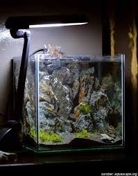 Ini caranya untuk pemuda & bahannya mudah kalian dapatkan! Aquarium Aquascape Dekorasi Dengan Sentuhan Estetika Alam