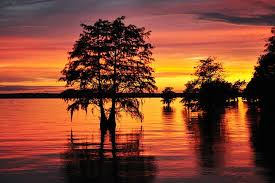 Craig's place deli & cafe in santee. Santee Indian Mound Sc Picture Project