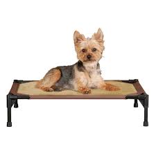For dogs that prefer to. Cot Dog Beds You Ll Love In 2021 Wayfair