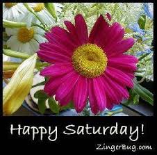 Happy Saturday Flowers Glitter Graphic Comment Happy Saturday Morning Saturday Greetings Good Morning Wishes Friends