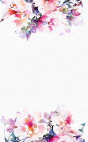 Graham & brown has a variety of flower wallpaper in a full range of textures. Flowers Pink White Background Wallpaper Flower Border 810x1306 Wallpaper Teahub Io