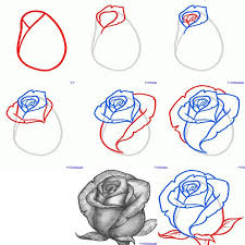 How To Draw A Rose Flower Sketch Pencil Roses Drawing Flower Drawing Tutorials