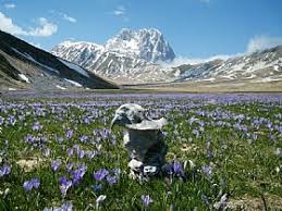 Abruzzo national park is famous in italy, and. Gran Sasso National Park Tourist Attraction In Abruzzo Italy