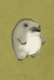 Pin By Linda Baker On Funny Cute Quirky Puggle Australia Animals Cute Poster