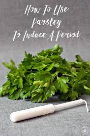 How To Use Parsley To Induce A Period Parsley Tea Period Period Remedies Parsley