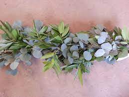 Eucalyptus Silver Dollar Flower Quotes Best Flower Wallpaper