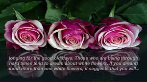 Black flowers indicate depression, sadness the dreamer must look at how it's used in the context of the dream (in other words, how did you feel white flowers usually represent honesty, purity, and love. Flower Dream Meaning Youtube