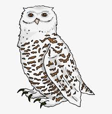 Free Free 212 Snowy Owl Svg SVG PNG EPS DXF File