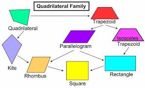 Types Of Quadrilaterals Jasonkellyphoto Co