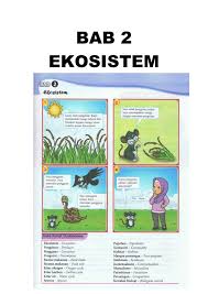 Aktiviti menyediakan diorama bagi kitar karbon dan kitar air bersama pelajar sains tingkatan 5. Bab 2 Ekosistem Flip Ebook Pages 1 19 Anyflip Anyflip