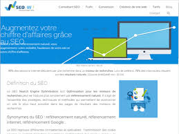 Consultant Seo Creation De Site Web Moteur De Recherche Chiffre D Affaire