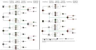 Would Like To Share My Education Chart For Ck2 Conclave And