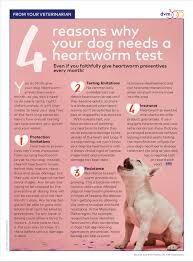 Maybe you would like to learn more about one of these? Have A Heart Why Dogs Need Heartworm Testing Dvm360