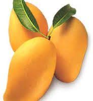 © © all rights reserved. Gambar Buah Buahan Tempatan Google Search Fruit Mango Health Benefits Mango