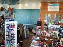 Adopt Shop Is An Innovative Pet Adoption Center A New Concept For Retail Pet Stores Adopt Shop Is Pet Adoption Center Pet Store Design Dog Boutique Ideas