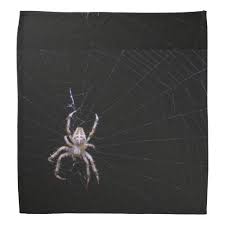 Cross Spider Bandana Spider Bandana Image