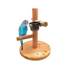 Borange Bird Perch Wood Training Stand Parrot Wooden Platform Stand Natural Handmade Playstand Playground Cage For Parakeet Conure Avec Images Oiseaux Accessoires