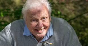 A town rocked one noisy fish: Is this David Attenborough's strangest show? 