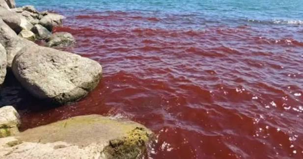 Sea of Galilee Turns Blood Red - Does it Explain the Biblical Plague? |  Ancient Origins