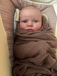 Edward is almost 2 months old already! He's 15lbs and growing! @jessaseewald