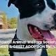 Powell Animal Welfare Society Meet & Greet (Lewis Center)