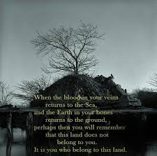 Pin By Alexander Lamont On Sky Above Me Earth Below Me Fire Within Me Nature Quotes Trees Native American Wisdom Native American Quotes