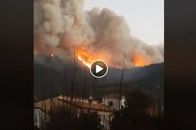 Come riferito dai vigili del fuoco si è trattato di un incendio di bobine di materiale plastico adibiti a copertura di coltivazioni all'interno di un'azienda agricola. Pisa Incendio Sul Monte Serra Fiamme Senza Freni Scenario Apocalittico