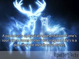 Pinner Said Did You Know Snape S Patronus Is A Doe Just Like Lily S Because He Loved Her But They Co Harry Potter Facts Harry Potter Obsession Potter Facts