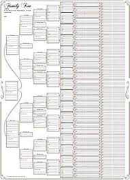 Family Tree Working Chart 10 Generations Tall 1 Metre
