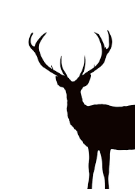 Black And White Deer Pictures Graphic Poster With A Black And White Deer Graphic Poster Art Deer Poster Poster Art
