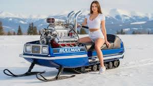 Image result for Sable Black 1968 Snowmobile