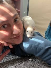 It's not a secret, I'm sure all my rats know who my favorite is…. Sweet  sweet Snowy girl. 🐭❄️🩷