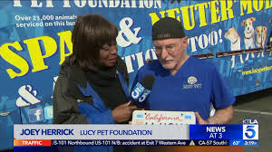 However, regulatory approval is just the first step in determining patient access. World Spay Day 2019 With The Lucy Pet Foundation Ktla