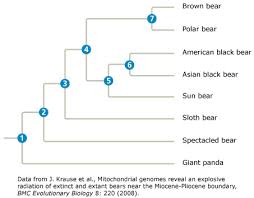 Ap Bio Chapter 20 Quiz Material Flashcards Quizlet