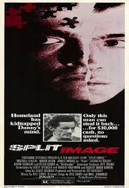 Split Image (Film, Drama): Reviews, Ratings, Cast and Crew