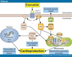 Image result for Exenatide
