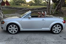 Image result for Light Silver 2005 TT