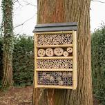 Family Volunteering Series: Build an Insect Hotel