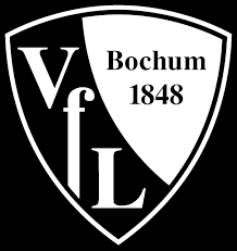 Green / ao (english) #008000; Vfl Bochum Trikot 2020 21
