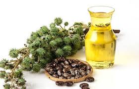 Le Cataplasme A L Huile De Ricin Moqolo Beaute Produits Cosmetiques Naturels Au Cameroun